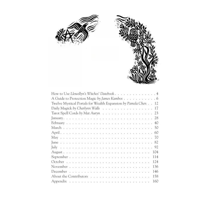 🔥Hot Sale 49%✨2026 Witches' Datebook