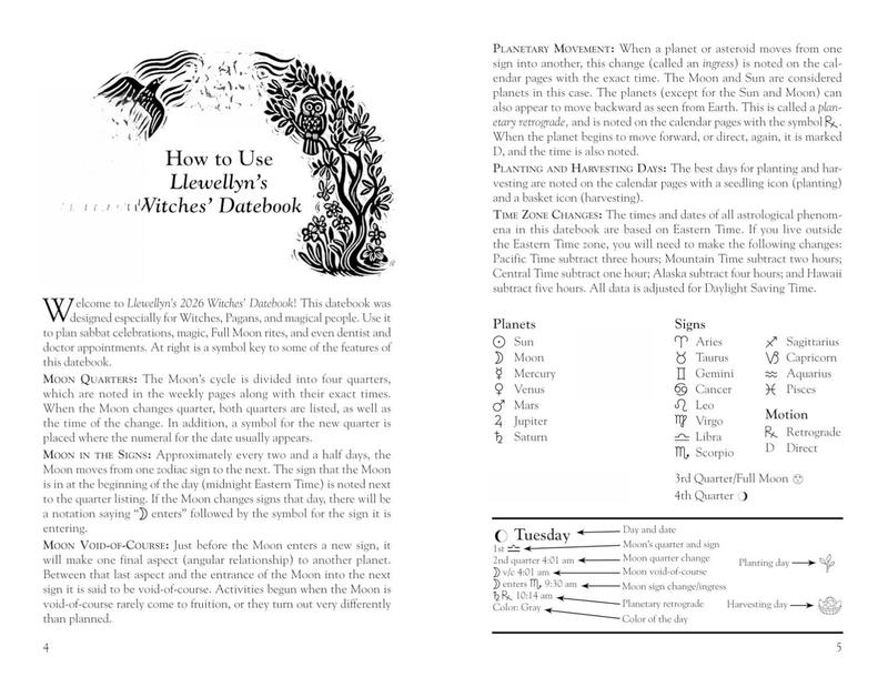 🔥Hot Sale 49%✨2026 Witches' Datebook