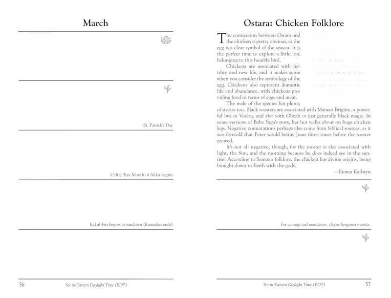 🔥Hot Sale 49%✨2026 Witches' Datebook