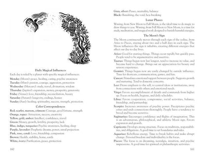 🔥Hot Sale 49%✨2026 Witches' Datebook